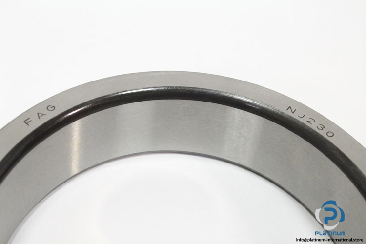 fag-NJ-230-inner-ring-(new)-(carton)-1