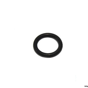 videojet-205819-oil-ring
