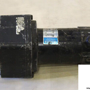 leeson-CM34D18NZ38A-permanent-magnet-dc-gear-motor