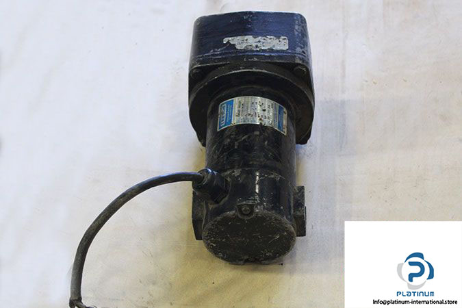 leeson-cm34d18nz38a-permanent-magnet-dc-gear-motor-2