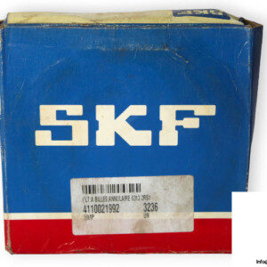 skf-6313-2RS1-deep-groove-ball-bearing