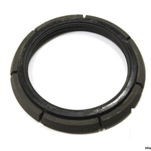 Demag 069 787 84 Tapered Brake Ring