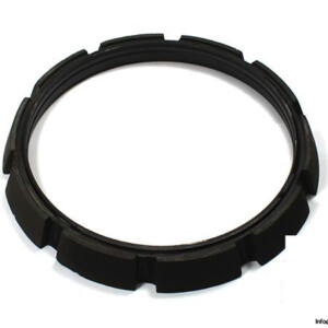 Demag 099 786 84 Conical Brake Ring