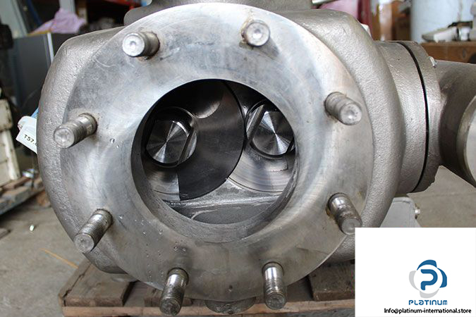 bornemann-sl-180-40-twin-screw-pump-5