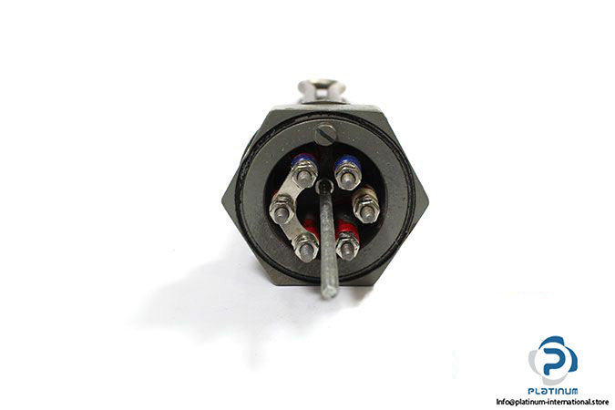ibs-2493-flanged-heating-element-4