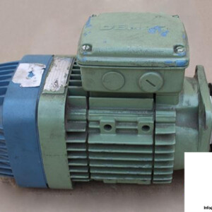DEMAG-KBF-80-A-2-CONICAL-ROTOR-BRAKE-MOTOR_675x450.jpg