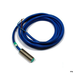 Pepperl+Fuchs NJ2-12GM-N Inductive Sensor