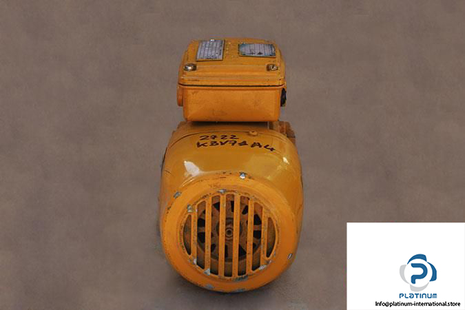DEMAG-KBV-71-A-4-ELECTRIC-MOTOR4_675x450.jpg