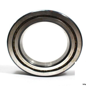 INA-SL01-3013-CYLINDRICAL-ROLLER-BEARING-_675x450.jpg