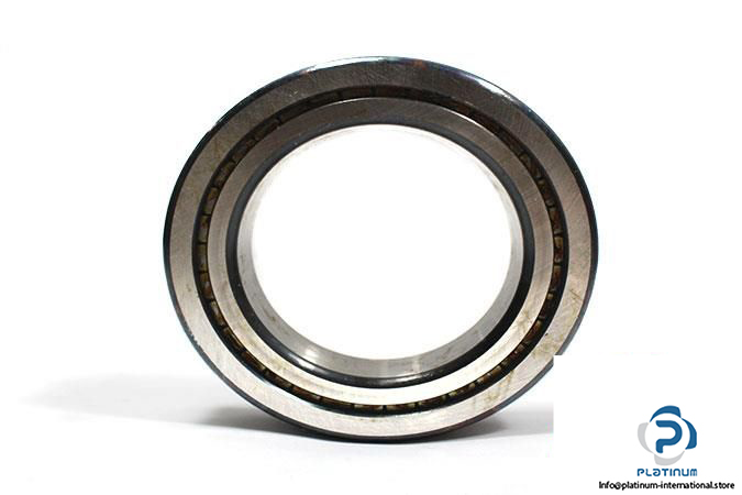 INA-SL01-3013-CYLINDRICAL-ROLLER-BEARING-_675x450.jpg