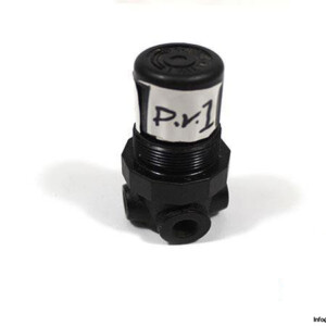 Norgren R07-100-RNKG Pressure Regulator