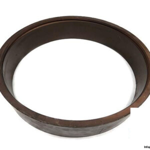 PTFE-COMPOUND-BRONZE-G429-RING-306768_675x450.jpg