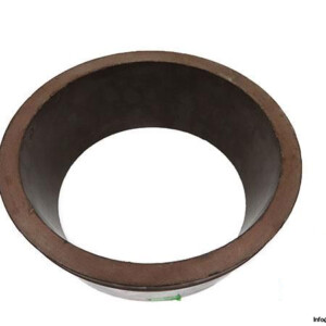 PTFE-COMPOUND-BRONZE-G429-RING-04022143_675x450.jpg