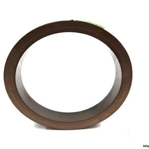 PTFE-COMPOUND-BRONZE-G458-RING-R0901698_675x450.jpg