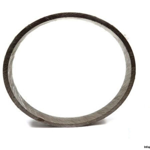 UNCUT-NK-481010-OOLEVE-RIDER-RING_675x450.jpg