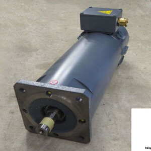 magnetic-BR-80-P-22_17-dc-servo-motor