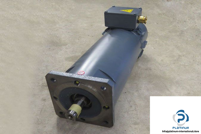 magnetic-BR-80-P-22_17-dc-servo-motor