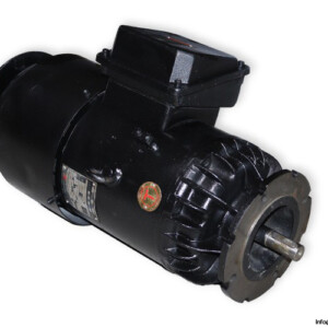 WINKELMANN-D-GNFZE-10114-DC-MOTOR-3_675x450.jpg