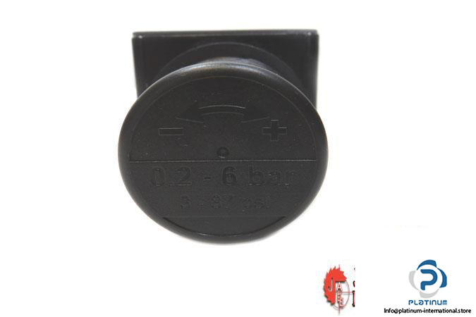 RIEGLER-R-12-6-PRESSURE-REGULATOR7_675x450.jpg