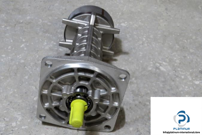 SEIM-PA-type-screw-pump_675x450.jpg