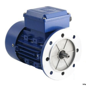 Flange-motor_675x450.jpg