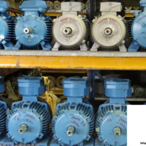 Abb-explosion-proof-electric-motor_675x450.jpg