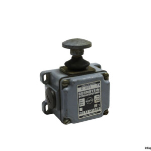Bernstein-D-UV1-PW-limit-switch