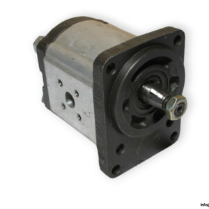 Bosch 0 510 625 325 Gear Pump