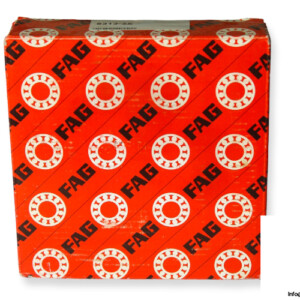 fag-6313-2Z-deep-groove-ball-bearing