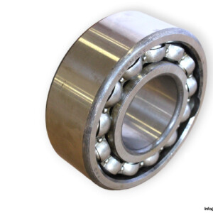 fag-4310-double-row-deep-groove-ball-bearing-wp