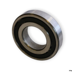 fag-20208T-barrel-roller-bearing