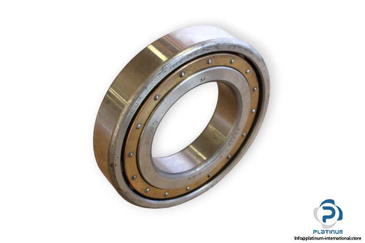 fag-20213M.C3-barrel-roller-bearing