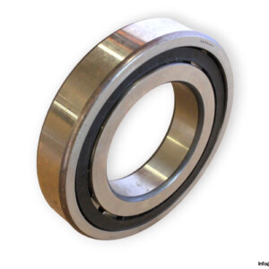 fag-20213T-barrel-roller-bearing