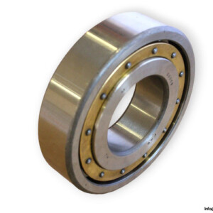 fag-20309-barrel-roller-bearing