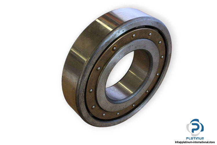 fag-20313-barrel-roller-bearing