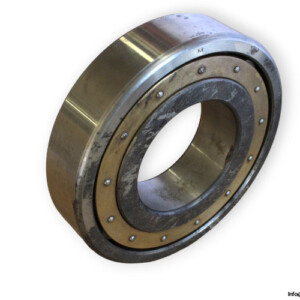 fag-20313K-barrel-roller-bearing