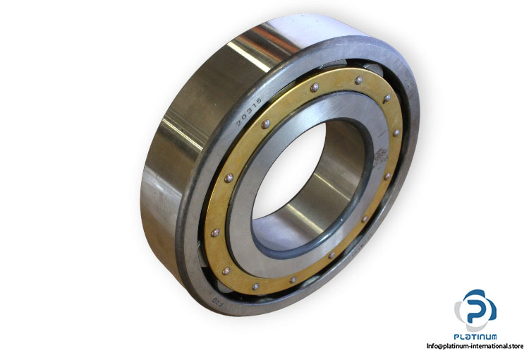 fag-20315MB-barrel-roller-bearing