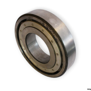 20320 K Barrel Roller Bearing