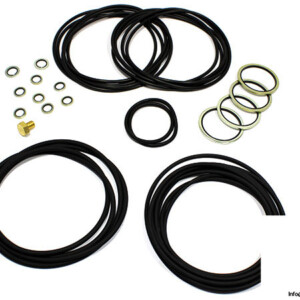 Rolls-Royce 000003253 Shaft Seal SET