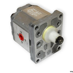 SNP2NN_011RN01BA-gear-pump-(new)