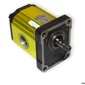 Vivolo G2P5902EDCA Gear Pump