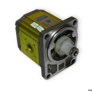 Vivolo X2P4942FSRA Gear Pump