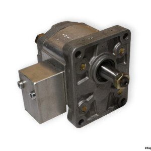 Woerner 2.083/P Gear Pump