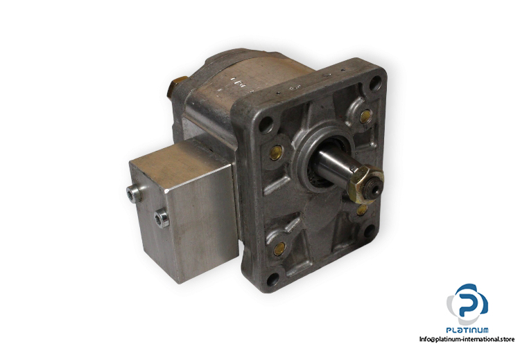 woerner-2.083_P-gear-pump-(used)
