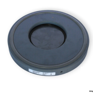 gf-161-369-029-wafer-check-valve-(new)