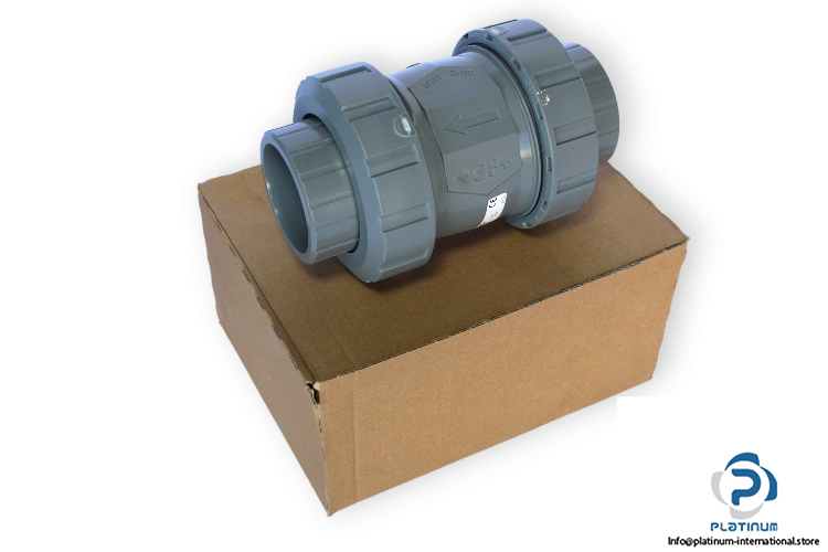 gf-169-561-006-check-valve-(new)
