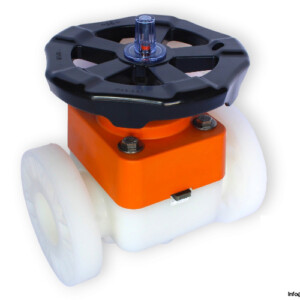 GF 175 317 009 Diaphragm Valve