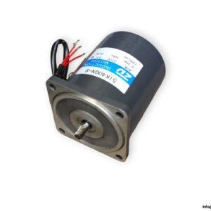 ZD 5IK40GN-S Induction Motor