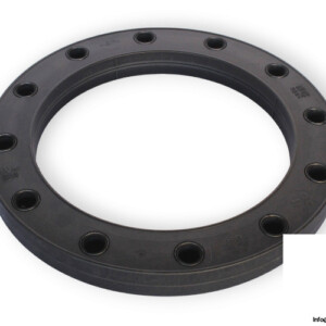 GF 727700521 Loose Flange
