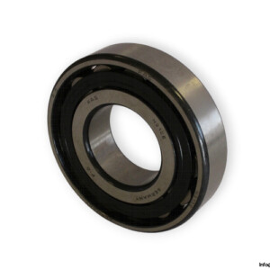 fag-N310E.TVP2-cylindrical-roller-bearing-(new)